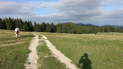 Montoz-Plateau bei La Rochette