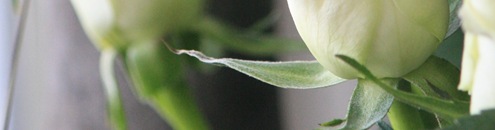 21.05.2010 077