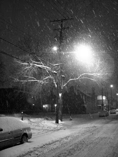 Snow Covered Tree in Tremont