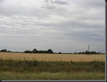 DSC09489