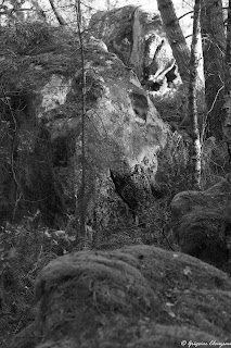 La barbu du Rer Cailleau