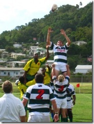 2011-bvi-stvg