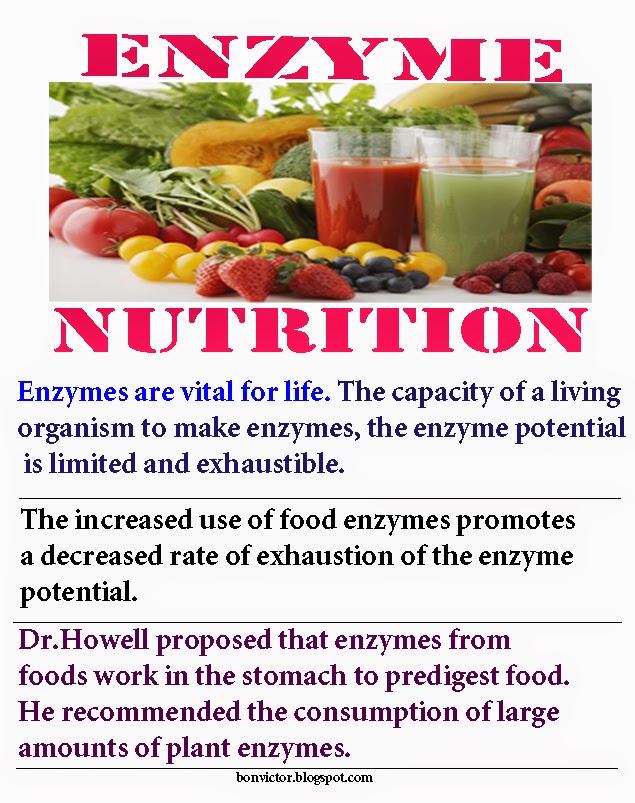 Health benefits of food enzymes