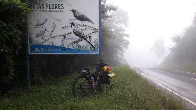 bike to pulau