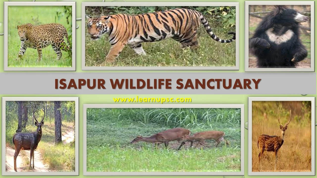 Isapur Wildlife Sanctuary