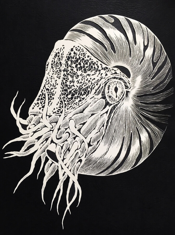 09-nautilus-paper-animals-drawing-by-masayo-fukuda-www-designstack-co