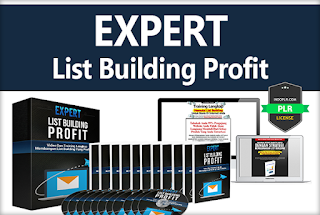 PLR Expert List Building Profit