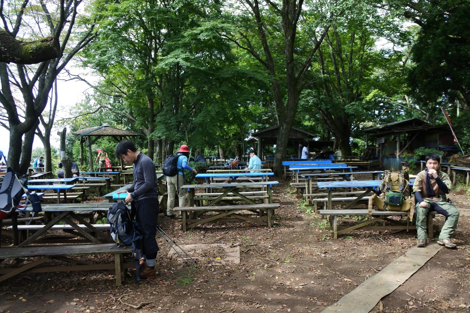 日帰りプチ縦走 景信山 小仏城山 高尾山 なるようになる