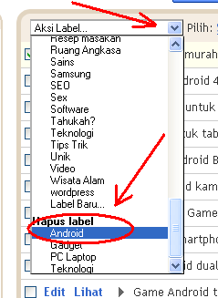 Cara Menghapus Label di blogspot