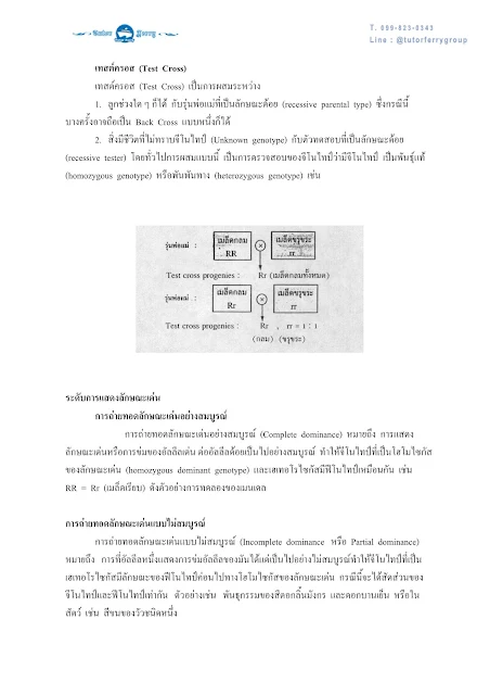 สรุปชีวะ ม.ปลาย