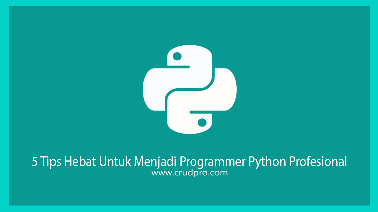 5 Tips Hebat Untuk Menjadi Programmer Python Profesional