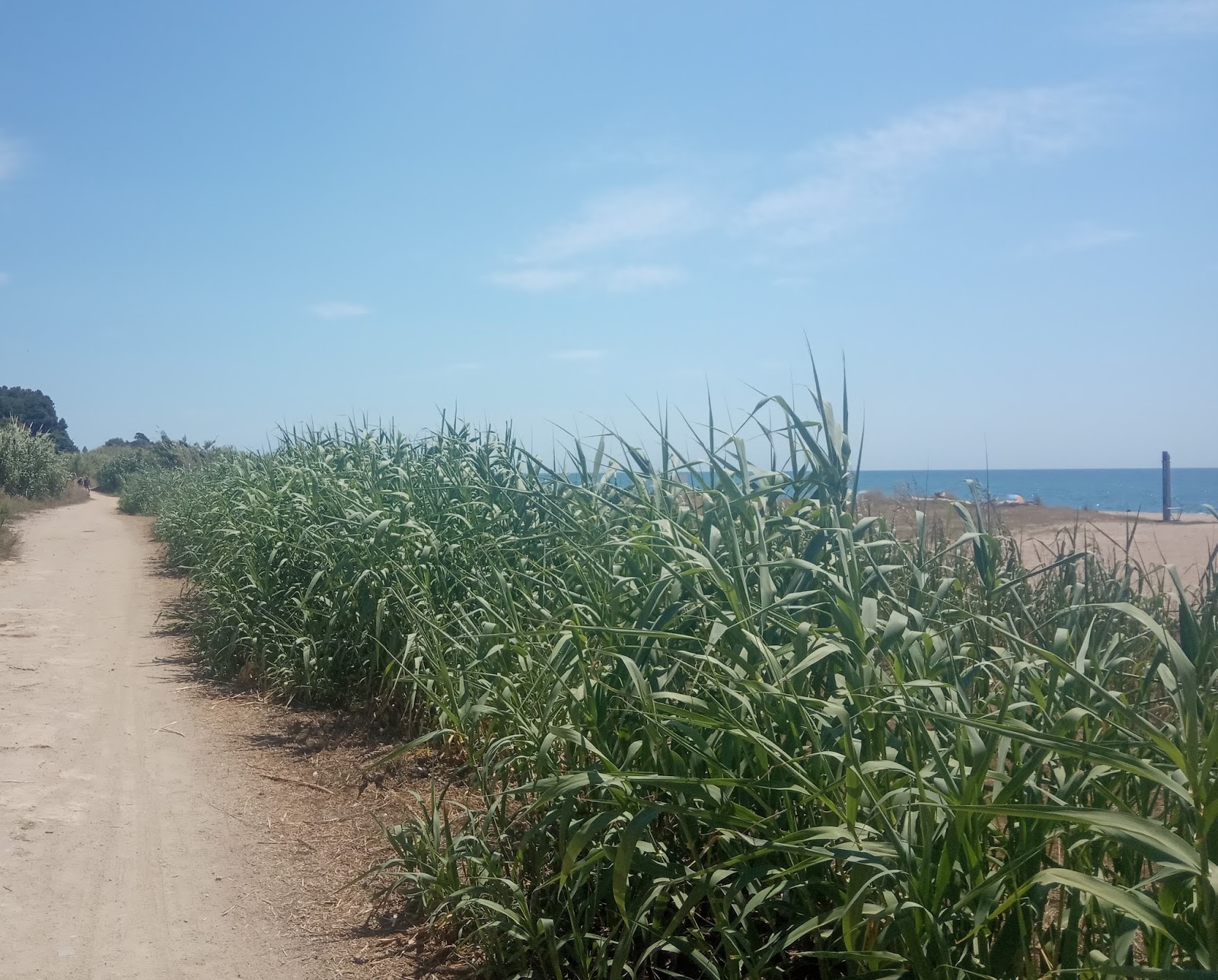 Canet de Mar, juny 2021