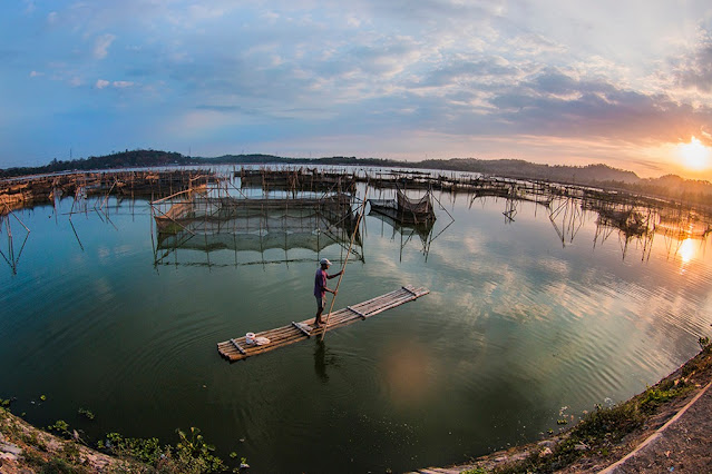 pemandangan rowo jombor klaten