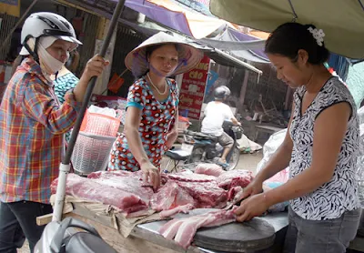 Đang có tình trạng lạm dụng chất cấm để tạo nạc trong chăn nuôi gia súc - Ảnh: Ngọc Thắng