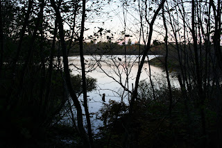 Little Trout Lake, Trout Lake, MI