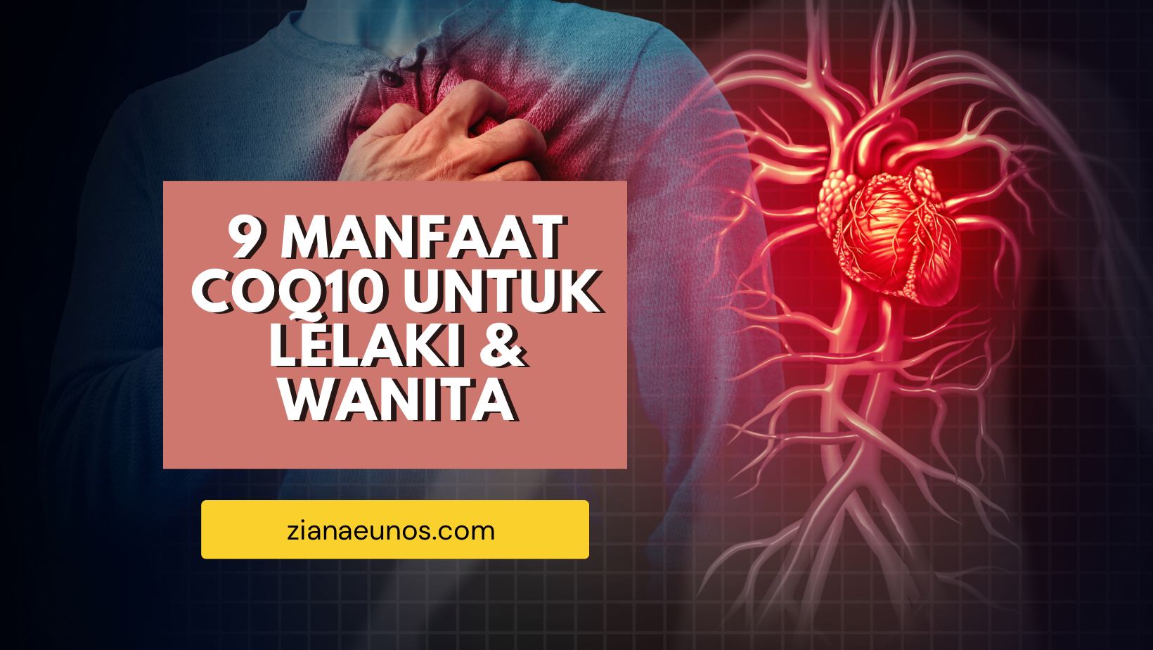 9 Manfaat CoQ10 Untuk Kesihatan Lelaki dan Wanita