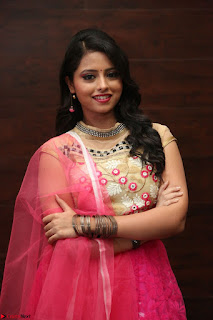 Geethanjali sizzles in Pink at Mixture Potlam Movie Audio Launch 005.JPG