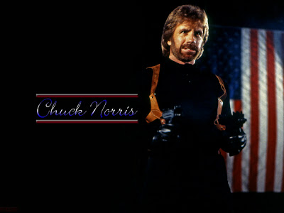 james christensen wallpaper. 3 WALLPAPERS DE CHUCK NORRIS 1024x786