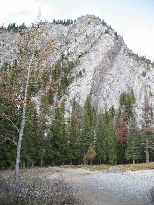 Cliff with spring at base