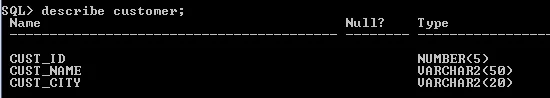 Displaying customer table structure