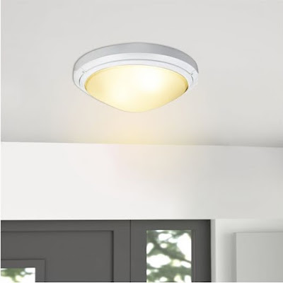 ceiling mounted light,