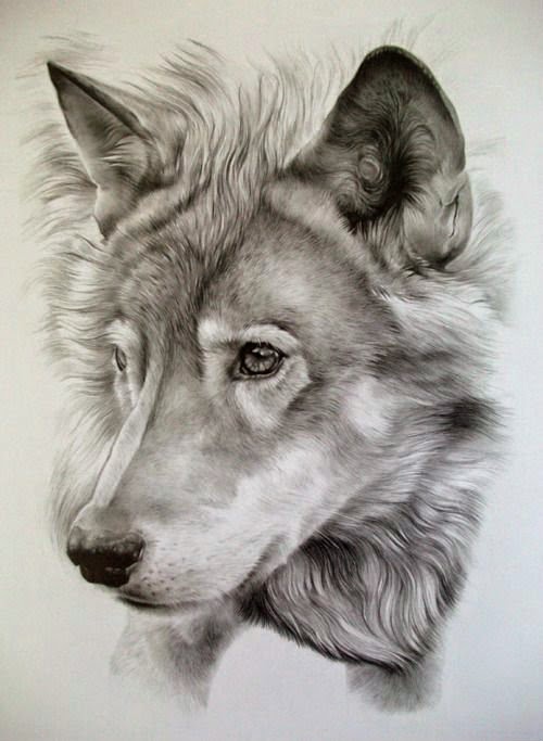 Awesome Pencil Drawing Photos. - Bilder Land