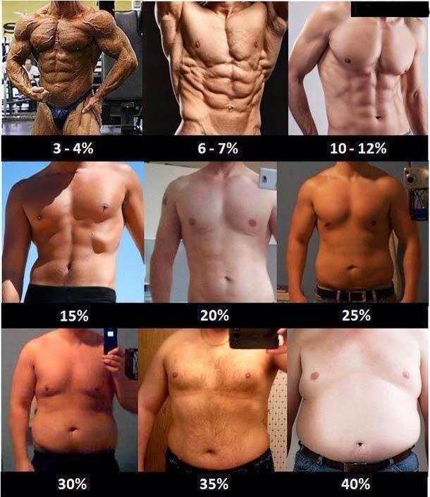 at what body fat percentage does muscle definition show