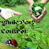 Benefits of Using Organic Pest Control