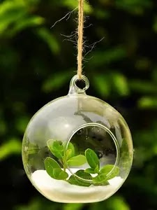Clear Flower Hanging Ball Vase Planter Terrarium Container Borosilicate Glass For Succulent Planting Home Wedding Decor 10mm US $0.83 New User Deal