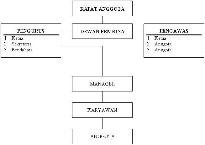 Contoh Struktur Organisasi Koperasi