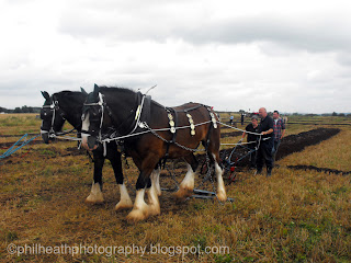 Moorgreen Show, Nottinghamshire - August 2012