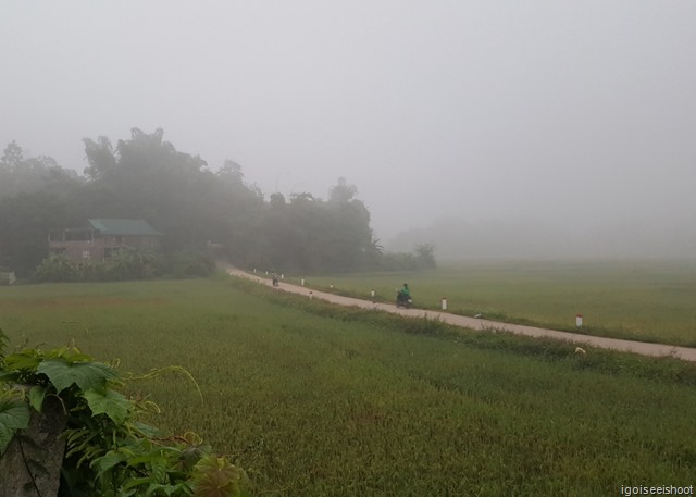 Mist over rice paddies at Mai Chau valley