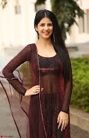 Kashish Vohra in Transparent Dre at Sapragiri LLB Success Meet ~  Exclusive 006.jpg