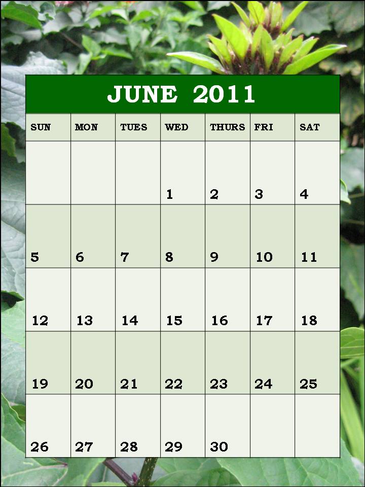 blank calendar 2011 june. june 2011 calendar blank. lank