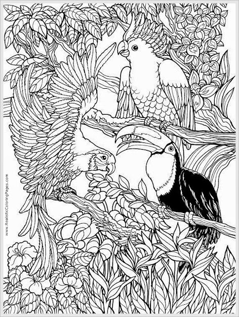 Free Coloring Pages For Adults Only Auromas