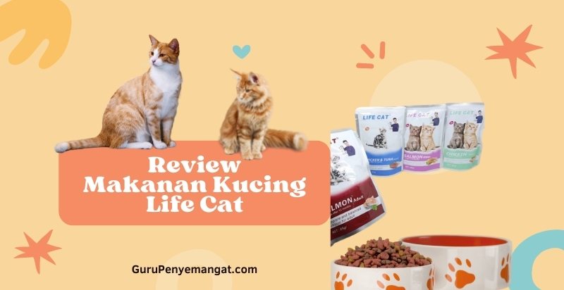 Review Makanan Kucing Life Cat