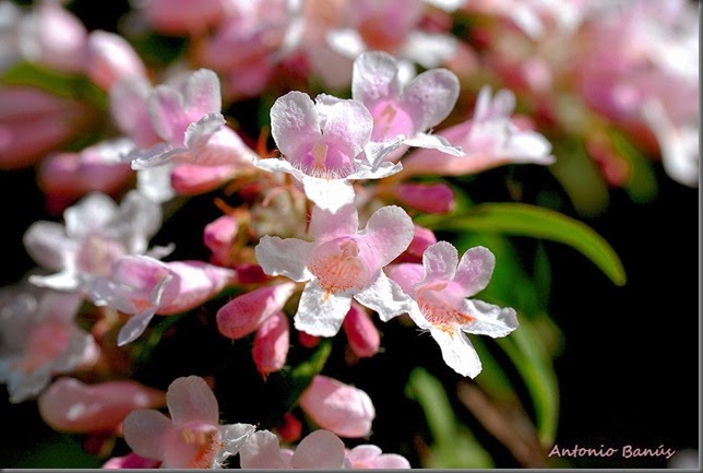 6 DSC_7834x1
