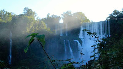 iguazu-falls-national-park-argentina