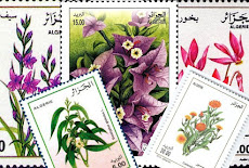 أشهر الزهور و الورود الجزائرية زينت طوابع بريدية 
