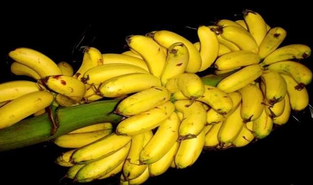 Gambar Jenis Pisang Untuk Kolak-Pisang Uli