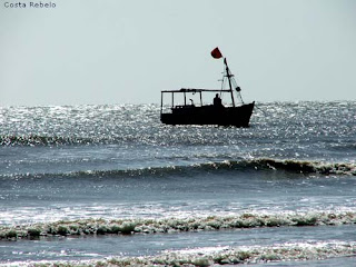 Resultado de imagem para passeios de barcos algodoal