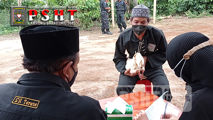 Tes Ayam Jago Siswa PSHT Ranting Sekincau, Belalau dan Batu Ketulis Cabang Lampung Barat