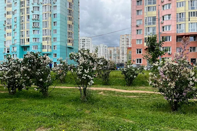 Красногорск, Живописная набережная, 4-й микрорайон Павшинской поймы