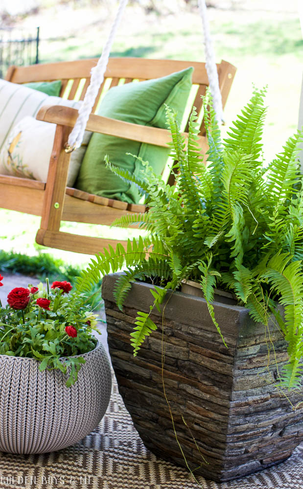Potted fern in faux stone planter in Spring Patio Refresh