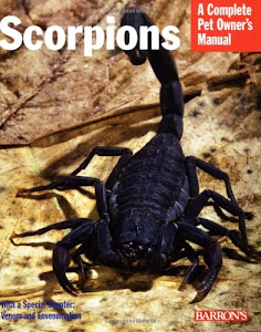 Scorpions: Everything About Purchase, Care, Feeding, and Housing