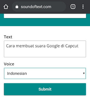 pilih voice bahasa indonesia