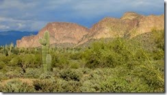 IMG_5022 (640x359)