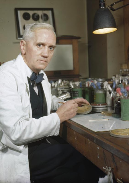 alexander fleming inventions,  who discovered antibiotics, discovered antibiotics,   how were antibiotics discovered,antibiotics invention history   