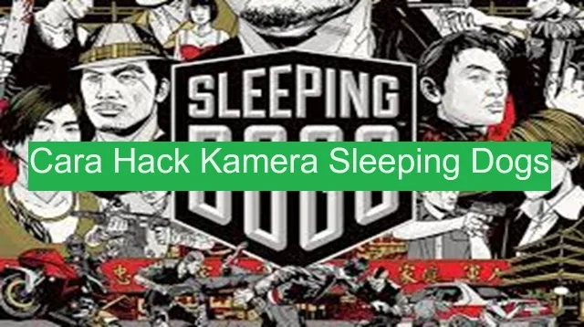 Cara Hack Kamera Sleeping Dogs