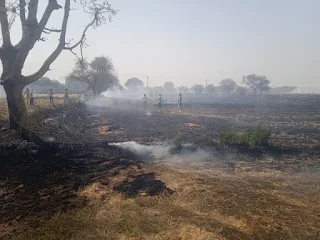 शॉर्ट सर्किट से खेतों में लगी आग सैकड़ों बीघा की नरई व भूसा हुआ राख  रिपोर्ट :- विजय द्विवेदी  जगम्मनपुर, जालौन : विद्युत शार्ट सर्किट से खेतों में आग लगने के कारण सैकड़ो बीघा की नरई एवं हजारों कुंतल भूसा जलकर राख हो गया ।  रामपुरा थाना अंतर्गत ग्राम जगम्मनपुर के निकट विद्युत शार्ट सर्किट के कारण आग लगने से हार्वेस्टर के द्वारा गेहूं की फसल काटने के बाद भूसा बनने के लिए खेतों में खड़ी अवशिष्ट नरई एवं खेतों में रखें गेहूं बेझर भूसा के ढेर सहित काली ईट भट्ठा के लिए संग्रहित हजारों कुंतल लाही का भूसा जलकर राख हो गया ।बताया जाता है कि आज शुक्रवार की दोपहर समय लगभग 1:00 बजे जगम्मनपुर के निकट अनिरुद्ध सिंह सेंगर के खेतों के पास प्राइवेट नलकूप के लिए गए विद्युत तारों से एक चिंगारी खेतों में गिरी जिससे खेतों में गेहूं की फसल के अवशिष्ट भाग नरई में आग लग गई , तेज हवा चलने के कारण देखते-देखते आग ने प्रचंड रूप धारण कर लिया जिससे लगभग 300 एकड़ खेतों की नरई एवं खेतों में रखा गेहूं बेझर का भूसा जलकर राख हो गया वहीं काली ईट भट्टा जगम्मनपुर के लिए संग्रहित लगभग नौ हजार कुंतल लाही के भूसे का ढेर भी जलकर भस्मीभूत हो गया । सूचना पाकर जिलाधिकारी जालौन के निर्देश पर उप जिलाधिकारी माधौगढ़ विश्वेश्वर सिंह , प्रभारी थानाध्यक्ष रामपुरा सोनू श्रीवास्तव , उप निरीक्षक विनोद कुमार सिंह जगम्मनपुर चौकी प्रभारी एवं उप निरीक्षक रामकिशोर सिंह मय पुलिस बल एवं दमकल की दो गाड़ियों सहित तत्काल मौके पर पहुंच गए व आग बुझाने के सार्थक प्रयास किए। बमुश्किल आग पर काबू पाया । आग का रूप इतना प्रचंड था कि यदि उचित समय पर प्रशासनिक सहायता ना होती तो समीप के बेनीपुरा गांव तक आग पहुंच सकती थी । इस घटना में भले ही फसल का नुकसान ना हुआ हो लेकिन नरई एवं भूसा जलने से पशुओं के लिए भोजन का संकट उत्पन्न हो गया है।
